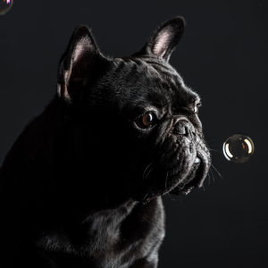 Foto_Roemmel_Tiere_003 Foto_Roemmel_Tiere_003