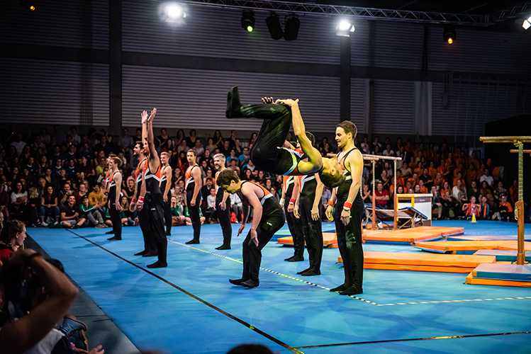 Foto_Roemmel_DSC_1772